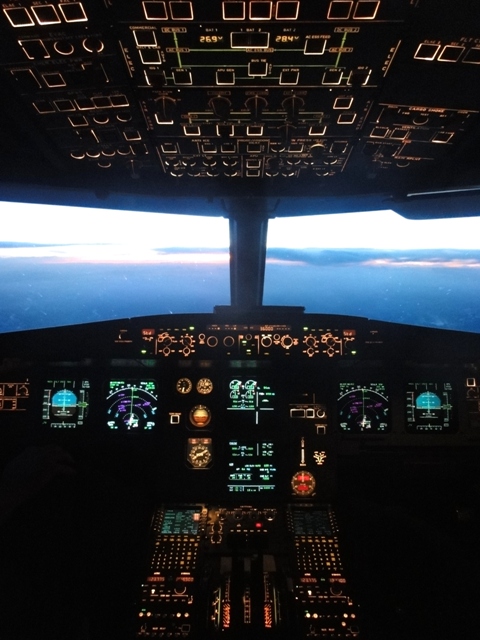 Viel Technik steckt in so einem A320 ...