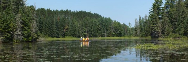 Algonquin Park in Kanada – Die besten Reisetipps
