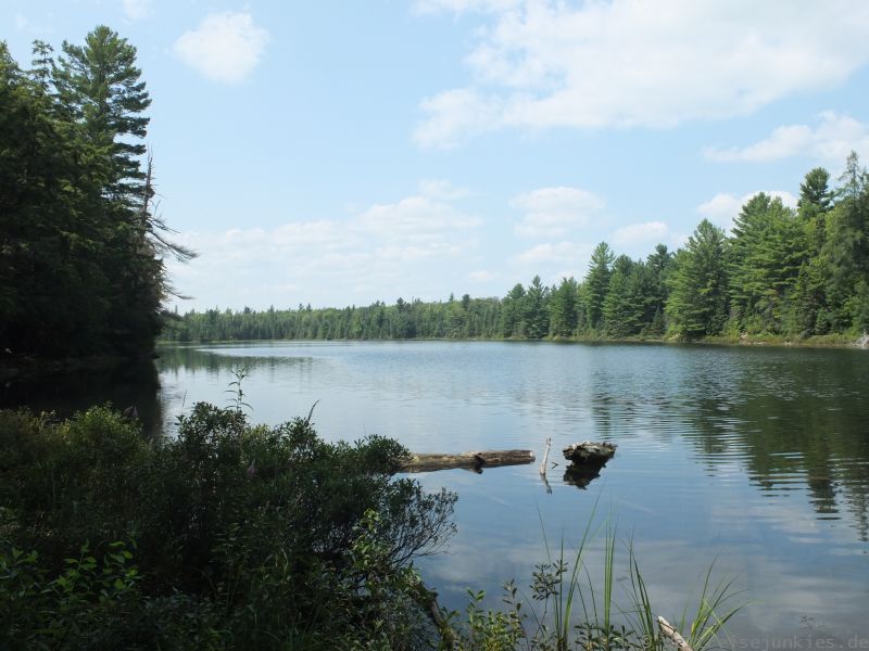 Algonquin Park 10