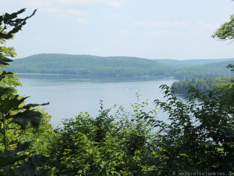 Algonquin Park 14
