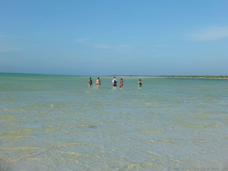 Isla Holbox 06